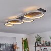 Rodekro Taklampa LED Svart, Silver, 1-ljuskällor