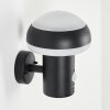 Vinara vägglampa utomhus, Vägglampa LED Svart, 1-ljuskällor, Rörelsedetektor