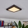 Canditas Taklampa, Panel LED Svart, 1-ljuskällor