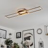 Lillavois Taklampa LED Svart, 1-ljuskällor, Fjärrkontroll