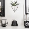 Atabueira Bordslampa LED Svart, 1-ljuskällor, Färgväxlare