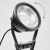 Idual Spotlight trädgård, gångvägslampa LED Svart, 1-ljuskällor, Fjärrkontroll, Färgväxlare