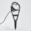 Idual Spotlight trädgård, gångvägslampa LED Svart, 1-ljuskällor, Fjärrkontroll, Färgväxlare