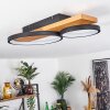 Rodekro Taklampa LED Naturfärger, Svart, 1-ljuskällor