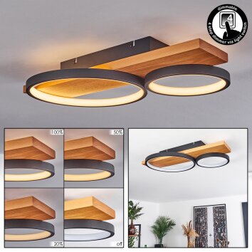 Rodekro Taklampa LED Naturfärger, Svart, 1-ljuskällor
