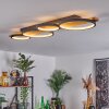 Rodekro Taklampa LED Naturfärger, Svart, 1-ljuskällor