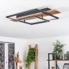 Pompu Taklampa LED Naturfärger, Svart, 1-ljuskällor