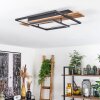 Pompu Taklampa LED Naturfärger, Svart, 1-ljuskällor
