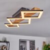 Tavon Taklampa LED Naturfärger, Svart, 1-ljuskällor