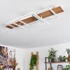 Pompu Taklampa LED Naturfärger, Vit, 1-ljuskällor