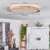 Menthonnex Taklampa LED Vit, 1-ljuskällor, Fjärrkontroll