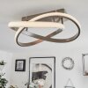 Cochato Taklampa LED Nickel matt, 1-ljuskällor