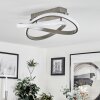 Cochato Taklampa LED Nickel matt, 1-ljuskällor
