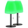 FHL easy Fiumara Bordslampa utomhus LED Svart, 1-ljuskällor, Fjärrkontroll, Färgväxlare
