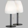 FHL easy Fiumara Bordslampa utomhus LED Svart, 1-ljuskällor, Fjärrkontroll, Färgväxlare
