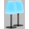 FHL easy Fiumara Bordslampa utomhus LED Svart, 1-ljuskällor, Fjärrkontroll, Färgväxlare