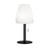 FHL easy Fiumara Bordslampa utomhus LED Svart, 1-ljuskällor, Fjärrkontroll, Färgväxlare