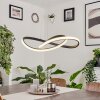 Pitasch Pendellampa LED Svart, 1-ljuskällor