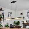 Rung Pendellampa LED Svart, 1-ljuskällor