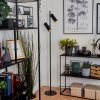 Trutielle Golvlampa, Läslampa Svart, 2-ljuskällor