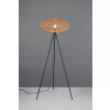 Trio Lampor Hedda Golvlampa Svart, 1-ljuskällor
