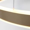 Steinhauer Ringlux Pendellampa LED Guld, 2-ljuskällor