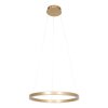 Steinhauer Ringlux Pendellampa LED Guld, 2-ljuskällor