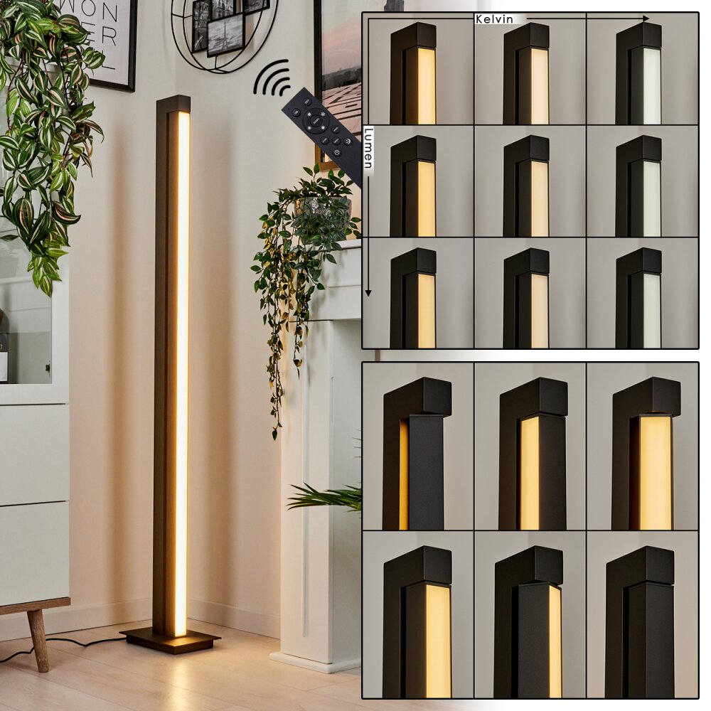 Dubuisson Golvlampa LED Antracit, 1-ljuskällor, Fjärrkontroll main product photo