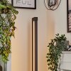 Dubuisson Golvlampa LED Antracit, 1-ljuskällor, Fjärrkontroll