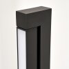 Dubuisson Golvlampa LED Antracit, 1-ljuskällor, Fjärrkontroll
