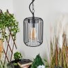 Bongle Utomhusbelysning, Pendellampa för utomhusbruk Svart, 1-ljuskällor