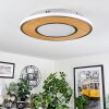 Chrop Taklampa LED Nickel matt, 1-ljuskällor