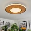 Chrop Taklampa LED Nickel matt, 1-ljuskällor