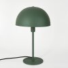 Vivian Bordslampa Grön, 1-ljuskällor