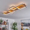 Pompu Taklampa LED Naturfärger, 1-ljuskällor