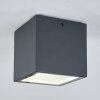 Spidern Taklampa LED Antracit, Vit, 1-ljuskällor