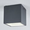 Spidern Taklampa LED Antracit, Vit, 1-ljuskällor