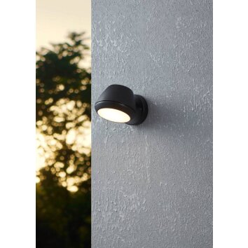 Eglo NIVAROLO vägglampa utomhus LED Svart, 1-ljuskällor
