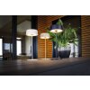 Lutec Lampor COCKTAIL Bordslampa LED Guld, 1-ljuskällor