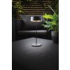 Lutec Lampor COCKTAIL Bordslampa LED Svart, 1-ljuskällor