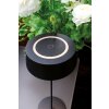 Lutec Lampor COCKTAIL Bordslampa LED Svart, 1-ljuskällor