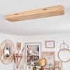 Cajas Taklampa LED Naturfärger, 2-ljuskällor