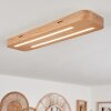 Cajas Taklampa LED Naturfärger, 2-ljuskällor