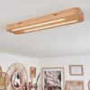 Cajas Taklampa LED Naturfärger, 2-ljuskällor