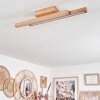 Cajas Taklampa LED Naturfärger, 2-ljuskällor