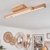 Cajas Taklampa LED Naturfärger, 2-ljuskällor
