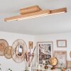 Cajas Taklampa LED Naturfärger, 2-ljuskällor