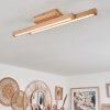 Cajas Taklampa LED Naturfärger, 2-ljuskällor