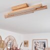 Cajas Taklampa LED Naturfärger, 4-ljuskällor