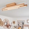 Cajas Taklampa LED Naturfärger, 4-ljuskällor